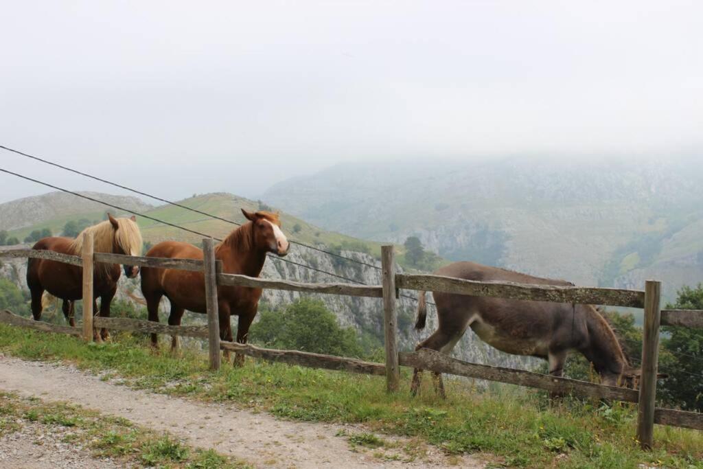 San Roque de Ríomiera Los Pradones מראה חיצוני תמונה